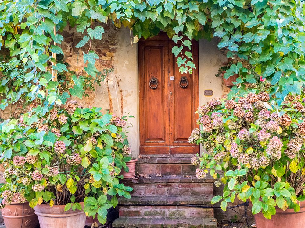 Italy-Tuscany-Pienza Doorway surrounded by flowers art print by Julie Eggers for $57.95 CAD